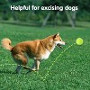 6 Pack Mini Tennis Balls for Pet Playing Fecth - 3 of 3