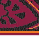 virginia tech hokies