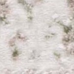 beige/sage