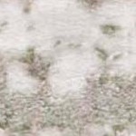beige/sage