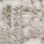 beige/sage