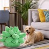 Hub Styler Succulents Cactus Throw Pillow - 4 of 4