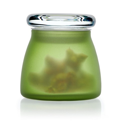 Airtight Glass Stash Jar 5 oz - Black Frosted with Green Leaves 