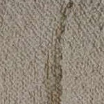 warm gray, tan, camel