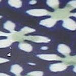 blue daisy