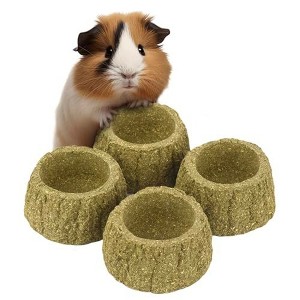 Evergreen Pet Supplies 4 Pack Furry Friends Timothy Hay Chewing Bowl for Small Pets & Bunnies - Edible Bowls for Guinea Pig Treats - 1 of 4
