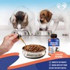 Beloved Pets Probiotics & Prebiotics with Enzymes Supplement for Dogs and Cats, Digestive Gut Flora Health Supports 2 Oz  - 1 Pack - 4 of 4