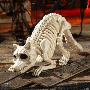 7 3/4" Raccoon Skeleton Plastic Outdoor Halloween Decoration - 1 of 3