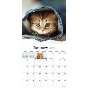 TF Publishing 13.5"x14.5" 2026 Kittens Wall Calendar - 1 of 4