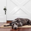 Mighty Paw Metal Potty Doorbell - 3 of 4