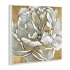 Stupell Industries Blushing White Magnolia Flower Abstract, 12" x 12" - 3 of 4