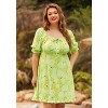 Picnic in Paradise Babydoll Dress - 2 of 4