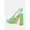Sarka Pointy Toe Slingback Women Pumps - 3 of 4