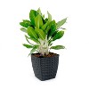 Okak Self-Watering Planter with Durable Weather-Resistant Design 2-Pack, Stylish Hand Woven Wicker for Gardens, Patios - 3 of 4