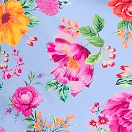 cloud blue romantic floral