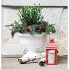 Bloem Indoor/Outdoor Plastic Grecian Urn Planter - 4 of 4