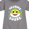Girls' - Baby Shark - Grandpa Shark Graphic Short Sleeve Fleece Dress - 2 of 4
