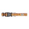 The Worthy Dog Pumpkin Patch Adjustable Dog Collar - 3 of 3