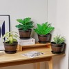 VECELO Plant Pots with Tray, Flower Pots with Drainage Holes & Saucer, Plastic Barrel Planters for Indoor & Outdoor Garden - 2 of 4