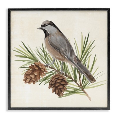 Stupell Industries Bird on Pine Tree, 24" x 24"