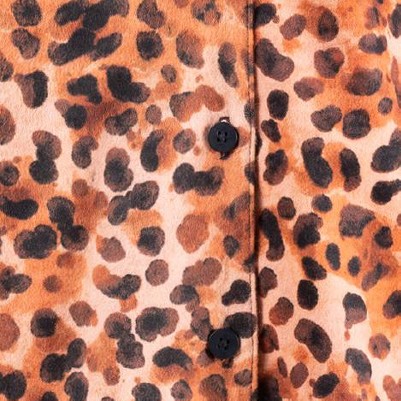 painted cheetah