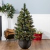 HGTV 4' Pre-lit Glittered Potted Crestwood Spruce Mini Artificial Christmas Tree with White Lights - 4 of 4