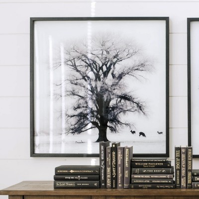 Stoic Tree Woodland Fog 32" Square Wood-Framed Landscape Print