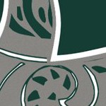 michigan state spartans