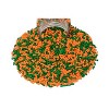 Mystic Sprinkles The Big Game: Orange & Green Jimmy Mix 3oz Bottle - 3 of 4