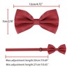 Allegra K Men's Halloween Polka Dots Pre-Tied Work Formal Party Tuxedo Bowknot Bow Ties - 4 of 4
