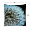 Decorative Throw Pillow_4 by Trademark Fine Art - 4 of 4