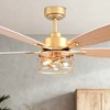 Bella Depot 52" Modern Black Large Caged Ceiling Fan with Light Kit - 2 of 4