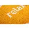 Zarkea™ 20" x 32" Microfiber Oval Pet-Friendly Rug - 3 of 4