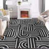 Abstract Area Rugs Soft Modern Rug for Bedroom Ultra-Thin Non Slip Washable Throw Carpet for Living Room Dining Room Hallway - 2 of 4
