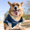 NFL Tennessee Titans Mesh Navy Football Pets Jersey - XS - 3 of 4