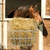 BENCMATE Pet Bowl Heavy Duty Wall Mounted Hay Feeder, Large Capacity Livestock Feeding Rack for Horses, Goats and Sheep, Silver, 24.41"*23.62"*6.3" - 4 of 4