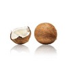 MIX:BAR Hair & Body Mist -  Coconut Palm - 5 fl oz - 3 of 3