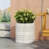 Gulches Eye-Catching Planter for Lasting Beauty - 4 of 4