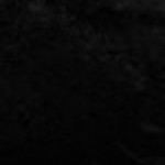 tampa bay buccaneers