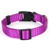 Country Brook Petz Deluxe Nylon Dog Collar and Leash - 4 of 4