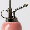 Sea Spray Mister Pink - Good Little Garden™ - 3 of 3