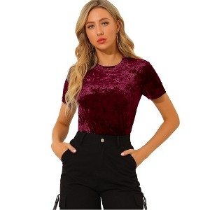 INSPIRE CHIC Women's Velvet Crew Neck Short Sleeve Casual Blouse - 1 of 4