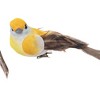Gallerie II Colorful Bird Clip Ornament Assortments of 6 - 3 of 4