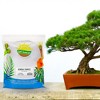 Soil Sunrise Horticultural Bonsai Pumice Soil Amendment, Substrate for Bonsai Trees - 2 of 4