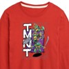 Boys' - Teenage Mutant Ninja Turtles - Donatello, Raphael, Leonardo, & Michelangelo Long Sleeve Graphic T-Shirt - 2 of 4