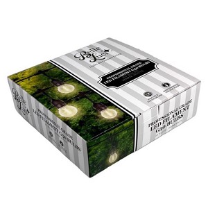 Belle Luci Holiday Bright Lights LED G50 Single Filament Bulbs Warm White 2.5 in. 25 lights - 1 of 1