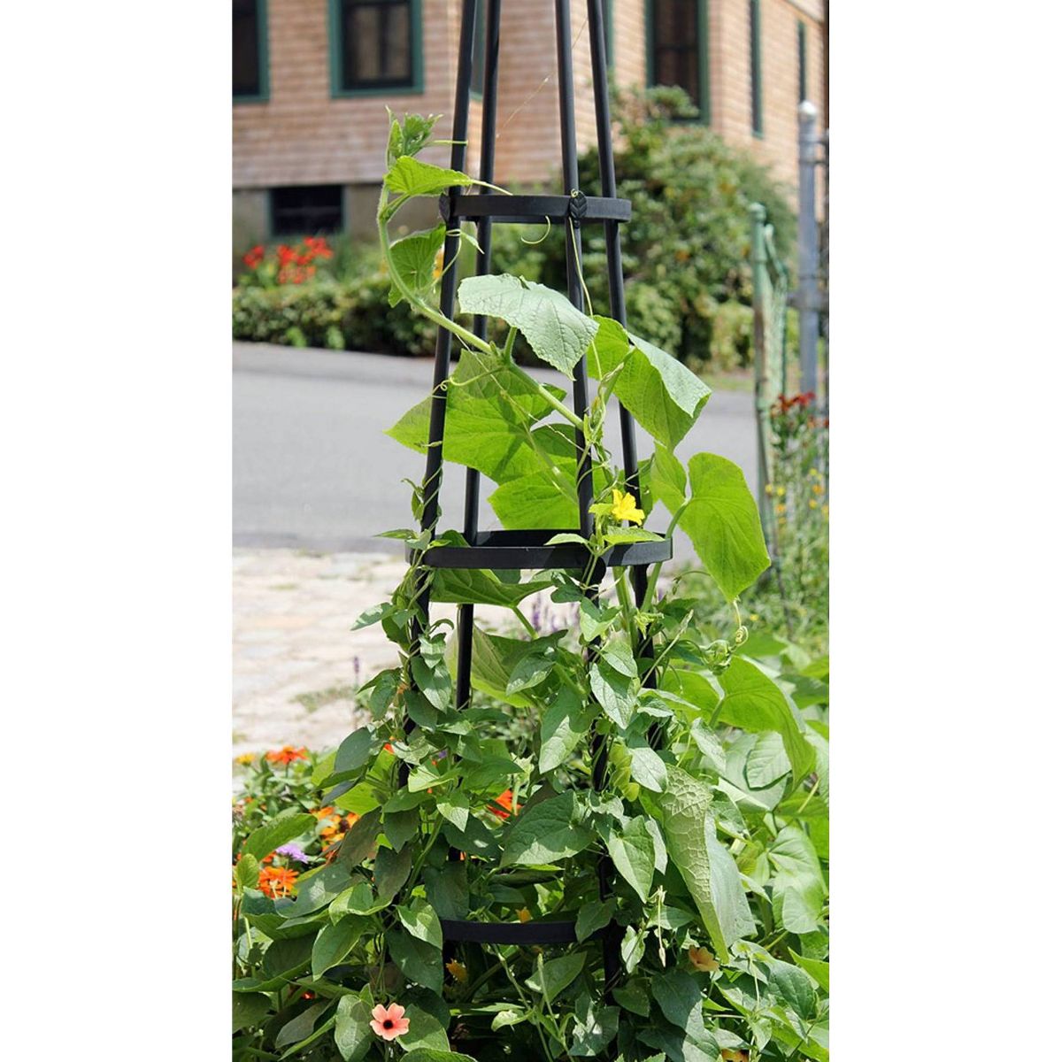 60" Tall Iron Obelisk Garden Trellis Graphite Powder Coat Finish - Achla Designs - thumbnail 3