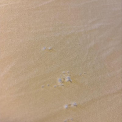 Guest review image 1 of 1, zoom in