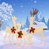 Costway 3 PCS Pre-lit Christmas Reindeer Family 3D Lighted Glitter Deer Xmas Decoration - 4 of 4