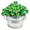 Collections Etc Grow Your Own Lucky 4 Leaf Clover Plant Kit with Metal Pot - 2 of 2